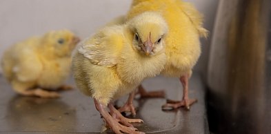 Smart farma to nie science fiction