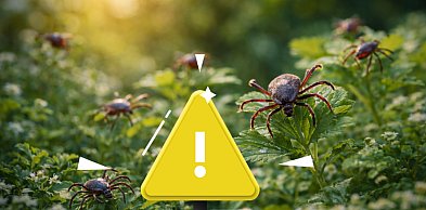 Kleszcze w ogrodzie – realne zagrożenie dla ludzi i zwierząt. Dlaczego warto zdecy