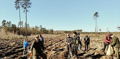 Strażacy zapraszają do sadzenia lasu
