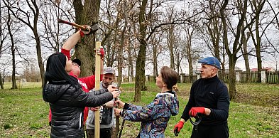 Nasadzenia drzew przy schronisku w Zielińcu