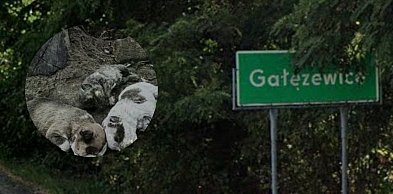 Makabra w Gałęzewicach. Jest akt oskarżenia