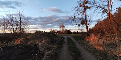 Skatepark w nowej lokalizacji. Jest wizja - będzie projekt