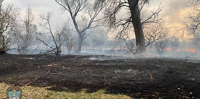 Piekło nad Wartą! Strażacy z dwóch powiatów w walce z żywiołem [FOTO]