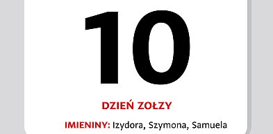 Kartka z kalendarza - 10 maja. Dzień Zołzy