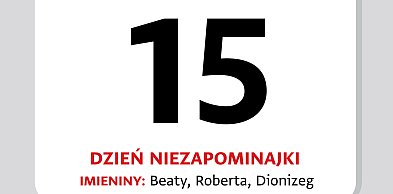 Kartka z kalendarza. 15 maja – Dzień Niezapominajki