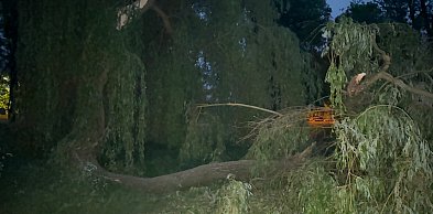 Niebezpieczeństwo nad zalewem. Gigantyczna gałąź runęła na uczęszczaną drogę