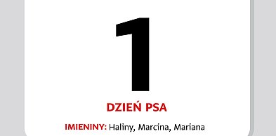 Kartka z kalendarza – 1 lipca – Dzień Psa