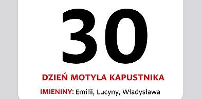 Kartka z kalendarza – 30 czerwca – Dzień Motyla Kapustnika