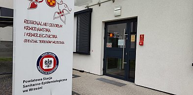 Jedna donacja może uratować nawet trzy osoby