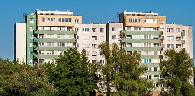 Blisko centrum czy bliżej natury? Jak wybrać lokalizację mieszkania dla rodziny?