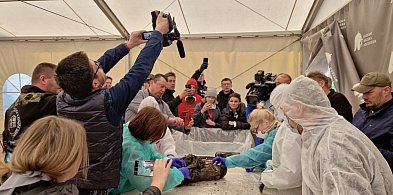 Zbiórka na odnowienie sztandaru 68 pp-38841