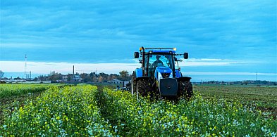 Poplony w ekoschematach – naturalne wsparcie dla żyzności gleby-39333
