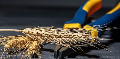 Jak odpowiednio przygotować maszyny uprawowe na zimę?-39932