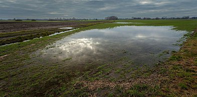 Dbamy o strukturę gleby przez cały rok-39941