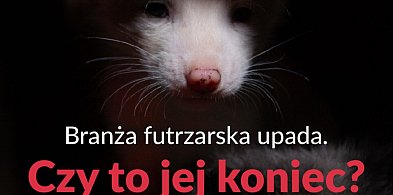 W obronie listów i norek. W sobotę protest w Kawęczynie-40289