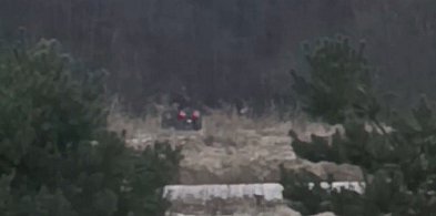 Jeżdżą quadami po lesie w Nekli. Dochodzenie Straży Leśnej [WIDEO]