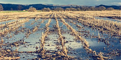 Jak poradzić sobie z trudnościami wprowadzenia uprawy bezorkowej?