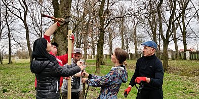 Nasadzenia drzew przy schronisku w Zielińcu