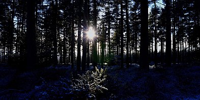  Jaki sprzęt sprawdzi się po zmroku w terenie?-39050