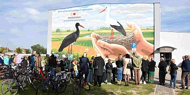 Orzechowo przyjazne bocianom. Nowy mural-39246