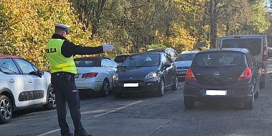 Samochodem pod sam grób. Drogowa paranoja już trwa-39989