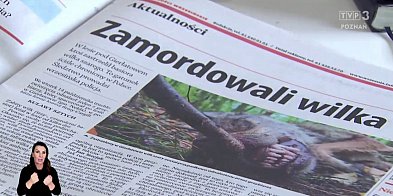 Echa naszych publikacji. Na tropie mordercy wilka-40037