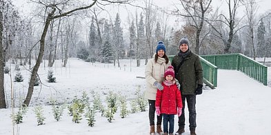 Gdzie zorganizować świąteczną sesję we WrześnI?-40061