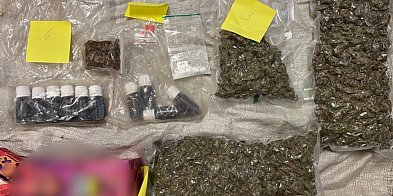 Kilogramy narkotyków ukryte m.in. dojarce-40605