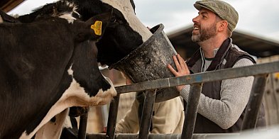 Gdzie kupić surowce paszowe hurtowo i bezpiecznie?-41272