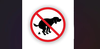 „Jak po koniu”. Śmierdzący problem przy WOK-u-41605