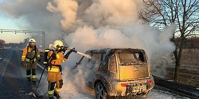 Pożar samochodu na drodze krajowej w Nekli-41641