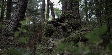 Ćwiczenia wojskowe w lasach czerniejewskich