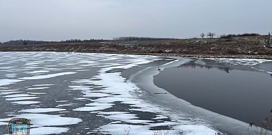 Strażacy z Pyzdr ruszyli na pomoc łabędziowi