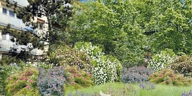 Skwer w centrum Wrześni przejdzie metamorfozę. Jest dof