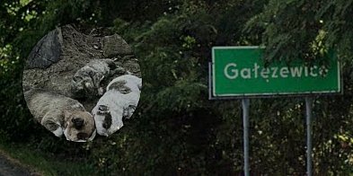 Makabra w Gałęzewicach. Jest akt oskarżenia