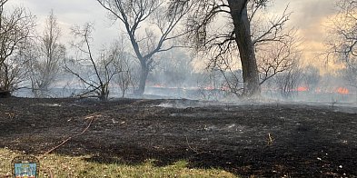 Piekło nad Wartą! Strażacy w walce z żywiołem