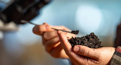 Znaczenie analizy gleby w rolnictwie regeneracyjnym-39336