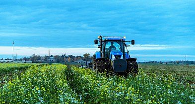 Poplony w ekoschematach – naturalne wsparcie dla żyzności gleby-39333