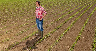 Integrowana uprawa – jak agrotechnika pomaga ograniczyć stosowanie nawozów, pestyc-39929