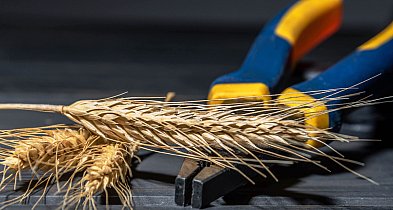 Jak odpowiednio przygotować maszyny uprawowe na zimę?-39932