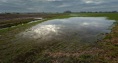 Dbamy o strukturę gleby przez cały rok-39941