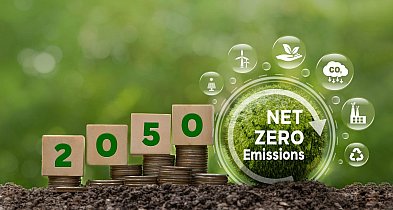 Jakie zmiany w rolnictwie przynosi Europejski Zielony Ład?