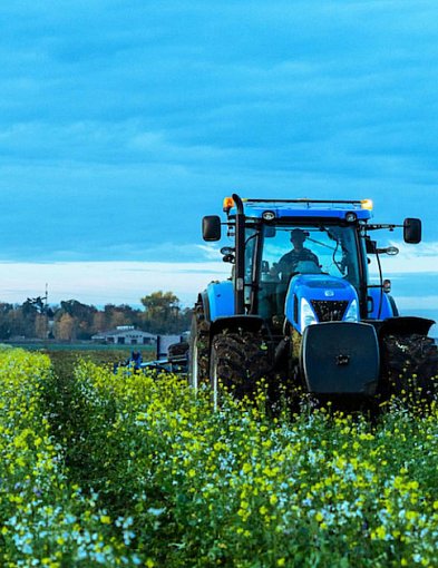 Poplony w ekoschematach – naturalne wsparcie dla żyzności gleby-39333
