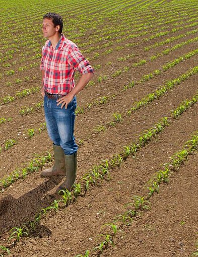 Integrowana uprawa – jak agrotechnika pomaga ograniczyć stosowanie nawozów, pestyc-39929