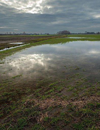Dbamy o strukturę gleby przez cały rok-39941