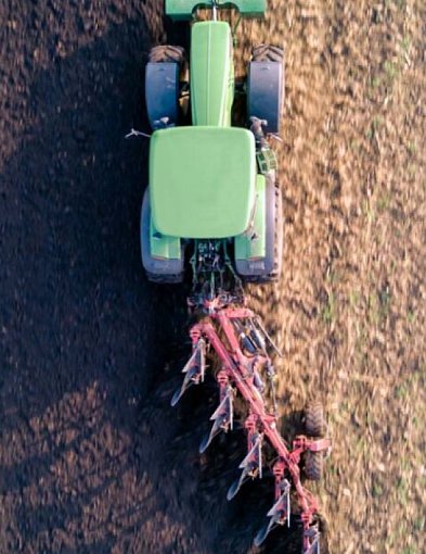 W jaki sposób orka szkodzi dżdżownicom?