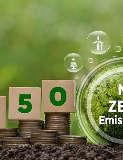 Jakie zmiany w rolnictwie przynosi Europejski Zielony Ład?