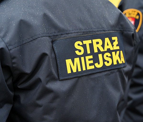 Zapuka strażnik, zapłacisz karę. Ruszyły kontrole w całej Polsce-39575