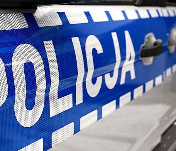 REGION: Pies zaatakował w lesie 8-latka. Dziecko trafiło do szpitala-39782