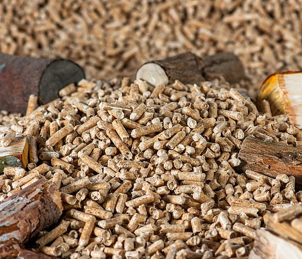 Drożeje popularny opał. Miliony Polaków dostaną po kieszeni tej zimy-39967